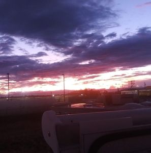 Meet your Posher, Trevor